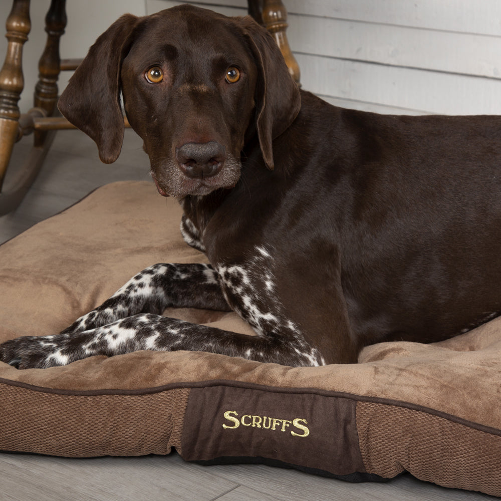 Chester Dog Mattress (in Chocolate Brown or Graphite Grey) by Scruffs