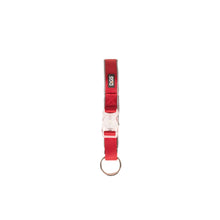 Dog collar Dog Gone Smart Red 20 Light
