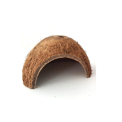 Reptile Retreat: Handmade Coconut Shell Hideout For Turtles, Scorpions, And Lizards