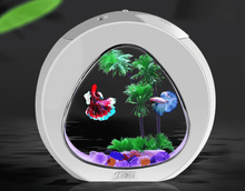 The Aquavista Desktop Fish Tank Aquarium
