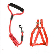 Ultimate Freedom Dog Leash & Chest Strap Set