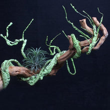 Tropical Rainforest Reptile Habitat Kit