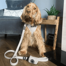 Dog Harness (Full Set) (Coco) – Dog Harness, Dog Collar, Dog Lead, Dog Poo Holder, Dog Bow Tie – by Furry Tails