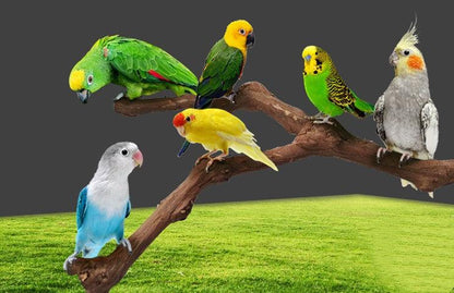 Natural Vine Parrot Bird Cage Stand Pole
