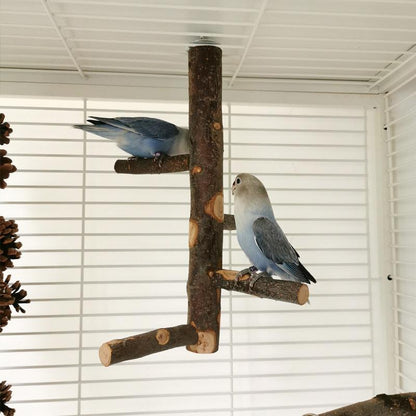 Simple And Stylish Apple Wood Parrot Bird Stand
