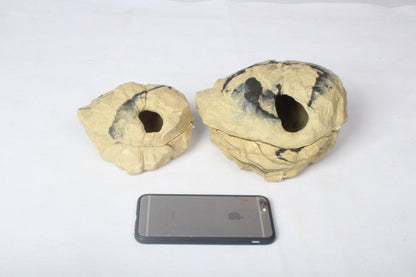 Rock Hideaway: The Ultimate Reptile Sanctuary