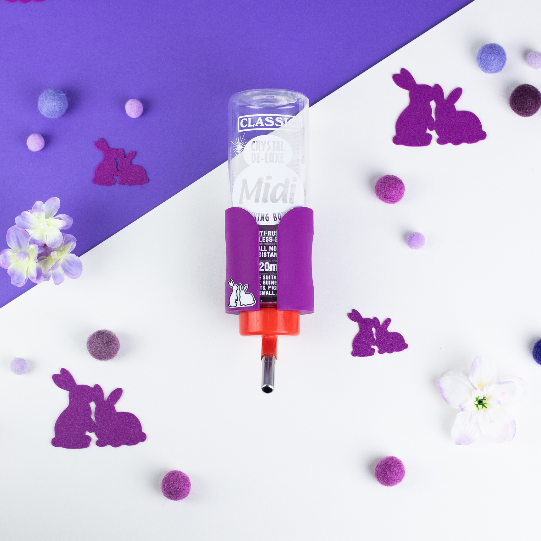 Guinea Pig & Rabbit Water Bottle Holder - Electric Purple