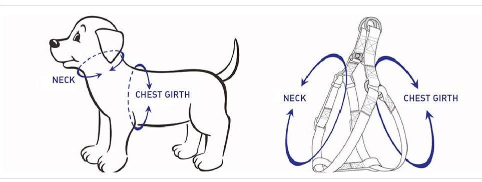 STEP IN HARNESS - BEIGE