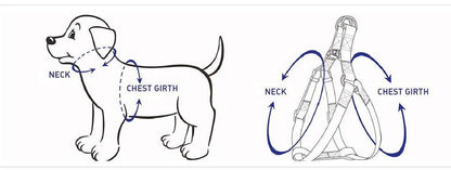 STEP IN HARNESS - BEIGE