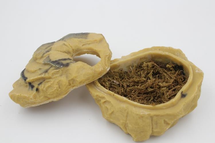 Rock Hideaway: The Ultimate Reptile Sanctuary