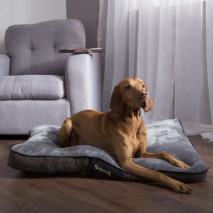 Chester Dog Mattress (in Chocolate Brown or Graphite Grey) by Scruffs