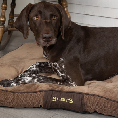 Chester Dog Mattress (in Chocolate Brown or Graphite Grey) by Scruffs