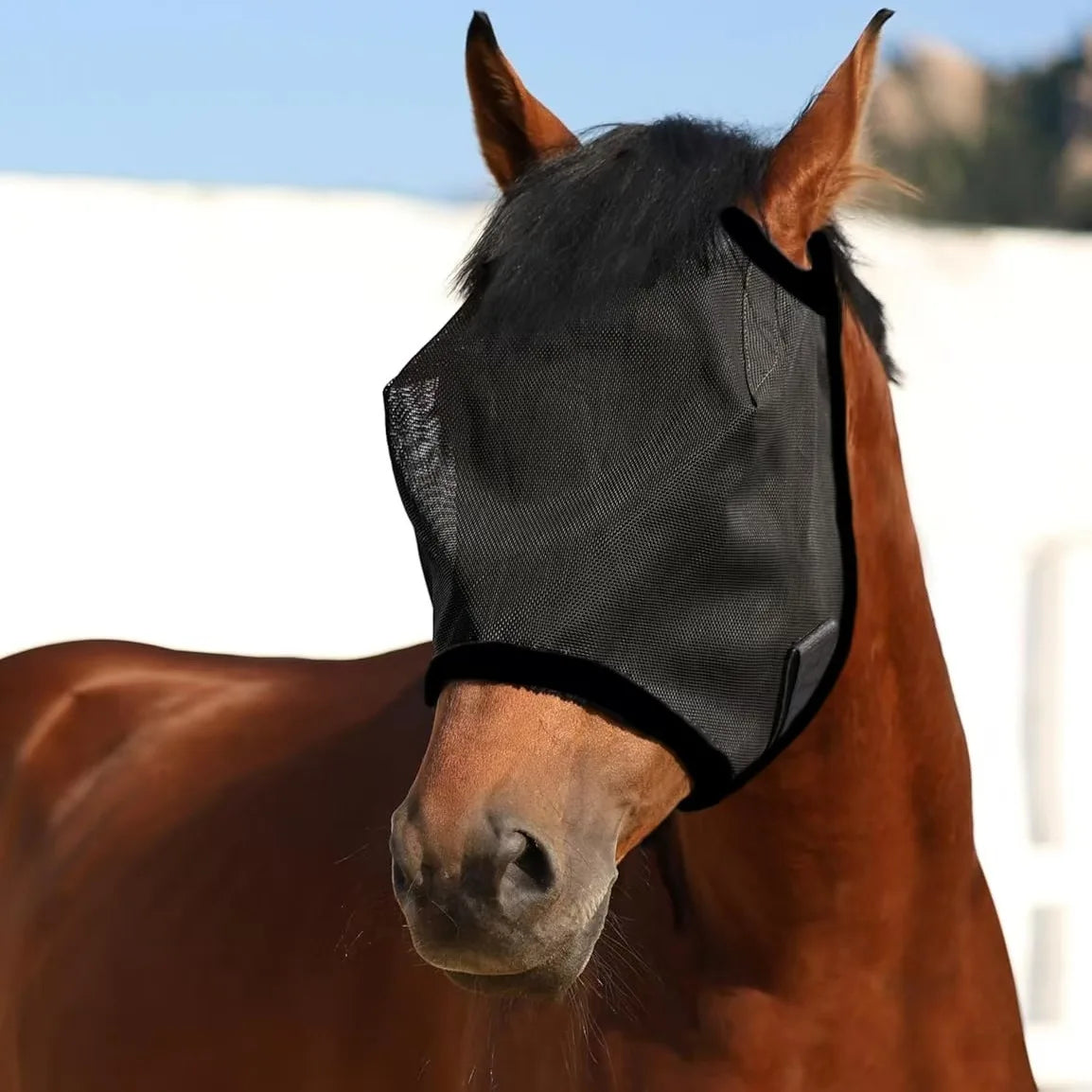 New Fly proof Horse Face Cover, Cool and Breathable Mesh, Insect proof, Mosquito proof, Sunshade, Horse Head Cover, Equestrian H