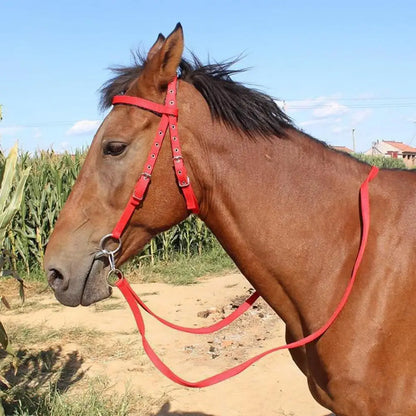 Horse Halter Adjustable Chin Horse Halter Plush Padded Horse Training Equestrian Accessory Adjustable Buckle Horses Halter