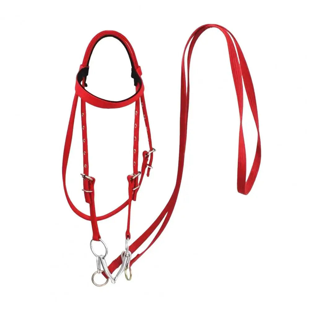 Horse Halter Adjustable Chin Horse Halter Plush Padded Horse Training Equestrian Accessory Adjustable Buckle Horses Halter