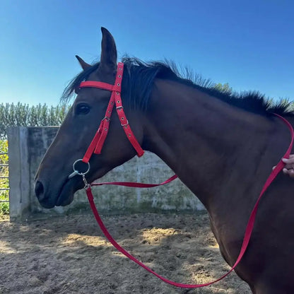 Horse Halter Adjustable Chin Horse Halter Plush Padded Horse Training Equestrian Accessory Adjustable Buckle Horses Halter