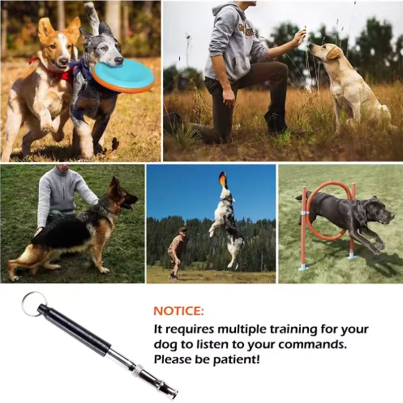 Pet training supplies dog flute dog whistle ultrasonic dog training small whistle pet supplies silver small portable
