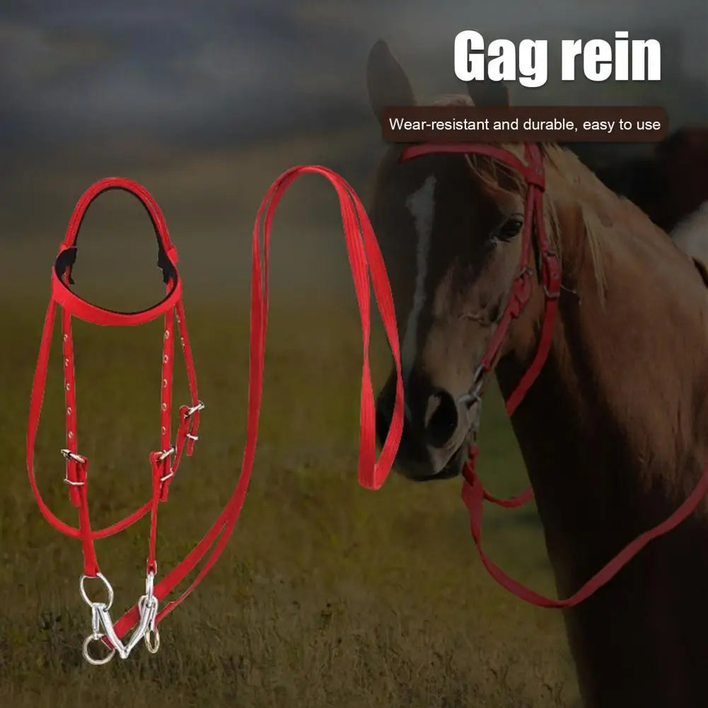 Horse Halter Adjustable Chin Horse Halter Plush Padded Horse Training Equestrian Accessory Adjustable Buckle Horses Halter