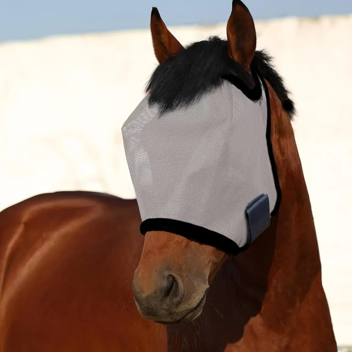 New Fly proof Horse Face Cover, Cool and Breathable Mesh, Insect proof, Mosquito proof, Sunshade, Horse Head Cover, Equestrian H