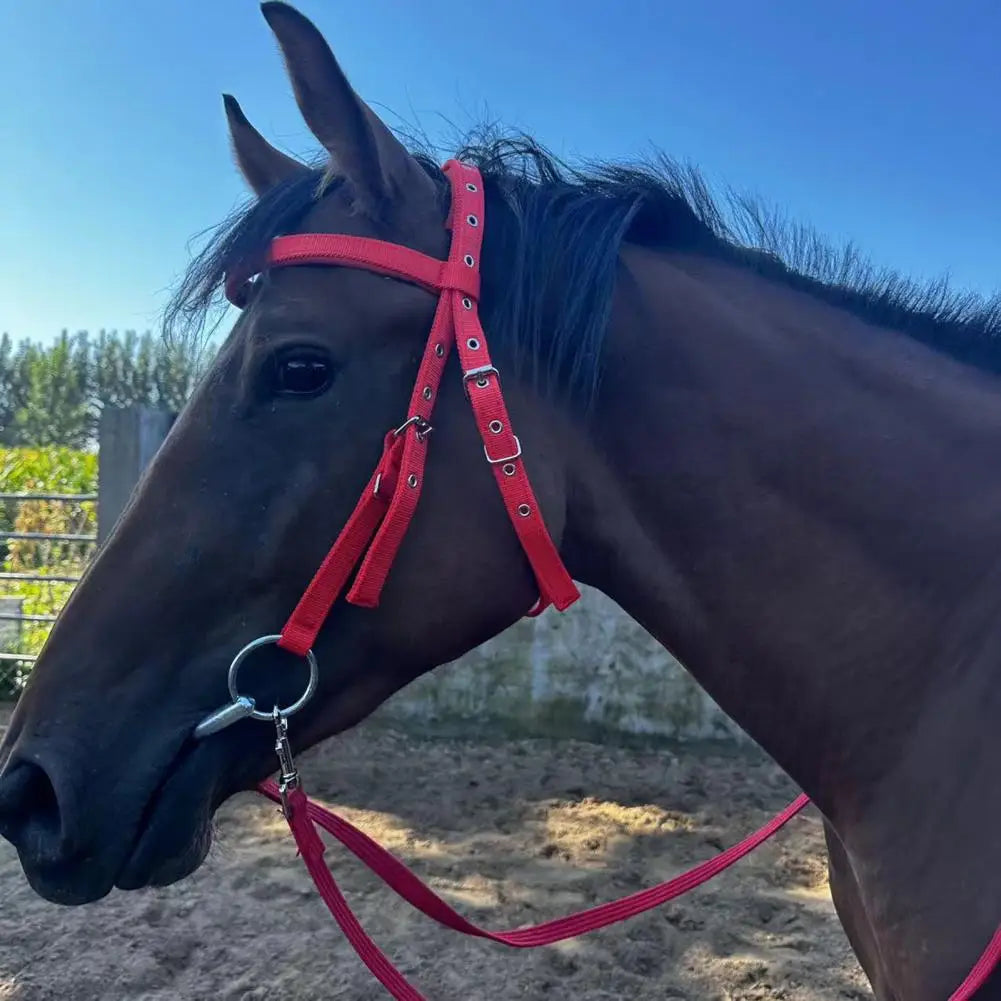 Horse Halter Adjustable Chin Horse Halter Plush Padded Horse Training Equestrian Accessory Adjustable Buckle Horses Halter