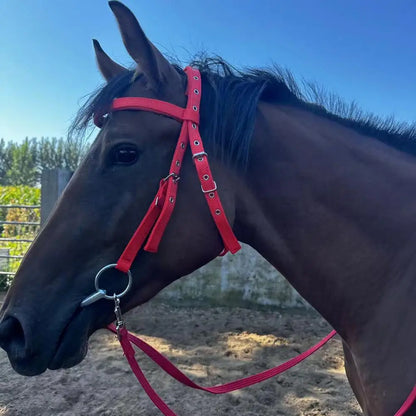 Horse Halter Adjustable Chin Horse Halter Plush Padded Horse Training Equestrian Accessory Adjustable Buckle Horses Halter