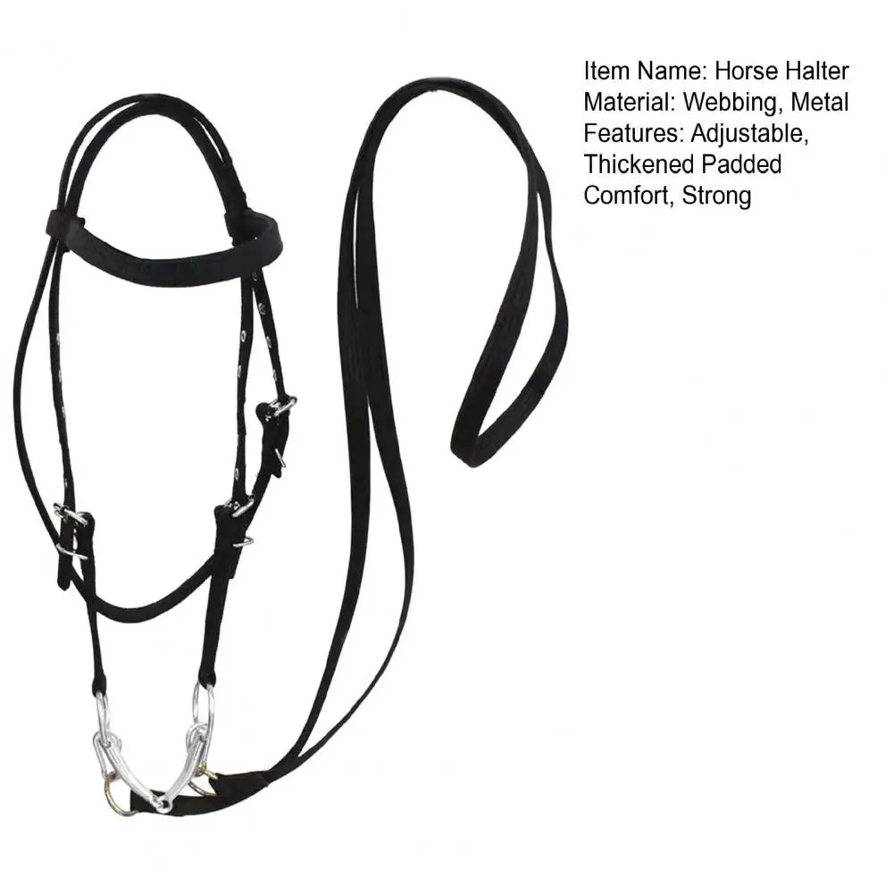 Horse Halter Adjustable Chin Horse Halter Plush Padded Horse Training Equestrian Accessory Adjustable Buckle Horses Halter