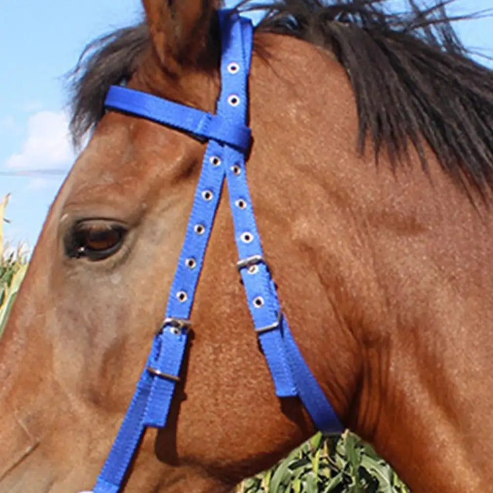 Horse Halter Adjustable Chin Horse Halter Plush Padded Horse Training Equestrian Accessory Adjustable Buckle Horses Halter