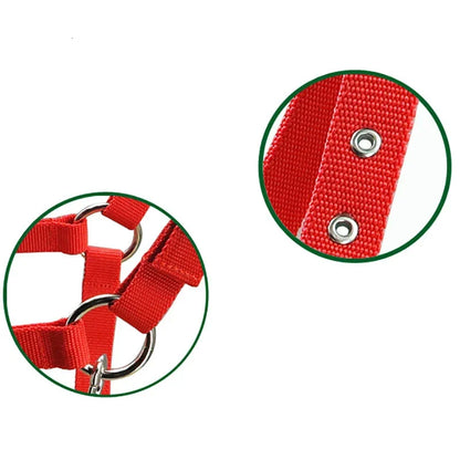 Horse Halters Headcollar Equestrian Equipment Adjustable Thicken Horse Bridle Head Collar Horseback Strap Stable Protective