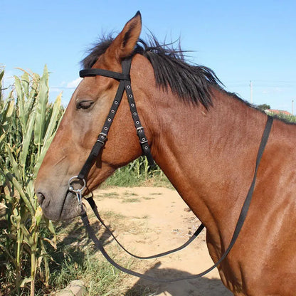 Horse Halter Adjustable Chin Horse Halter Plush Padded Horse Training Equestrian Accessory Adjustable Buckle Horses Halter