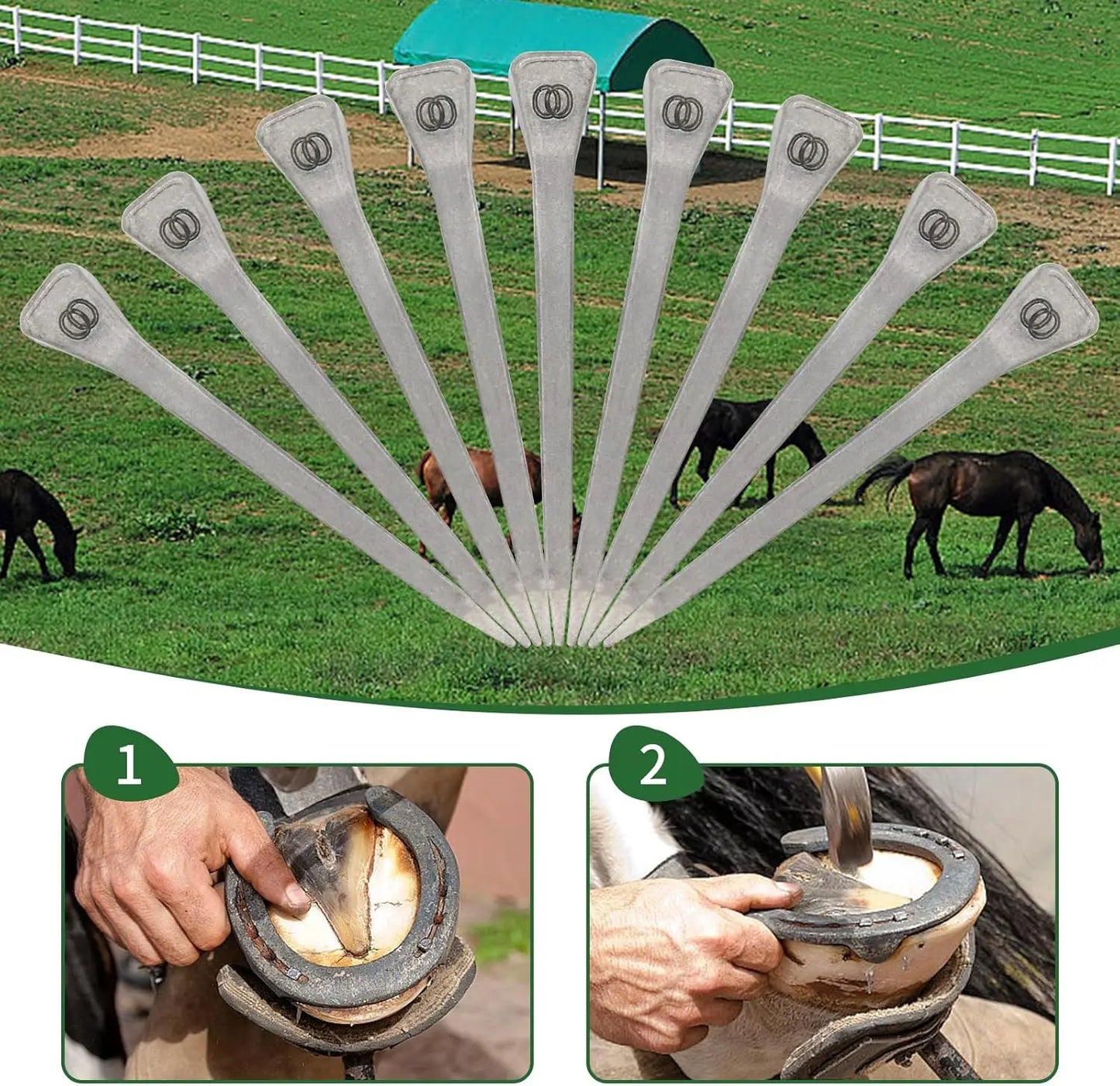 E2-E6 Horse Shoe Nails Horse Training Equestrian Harness Repair Hoof Nails Palm Horse Riding Supplies Equestrian Equipments