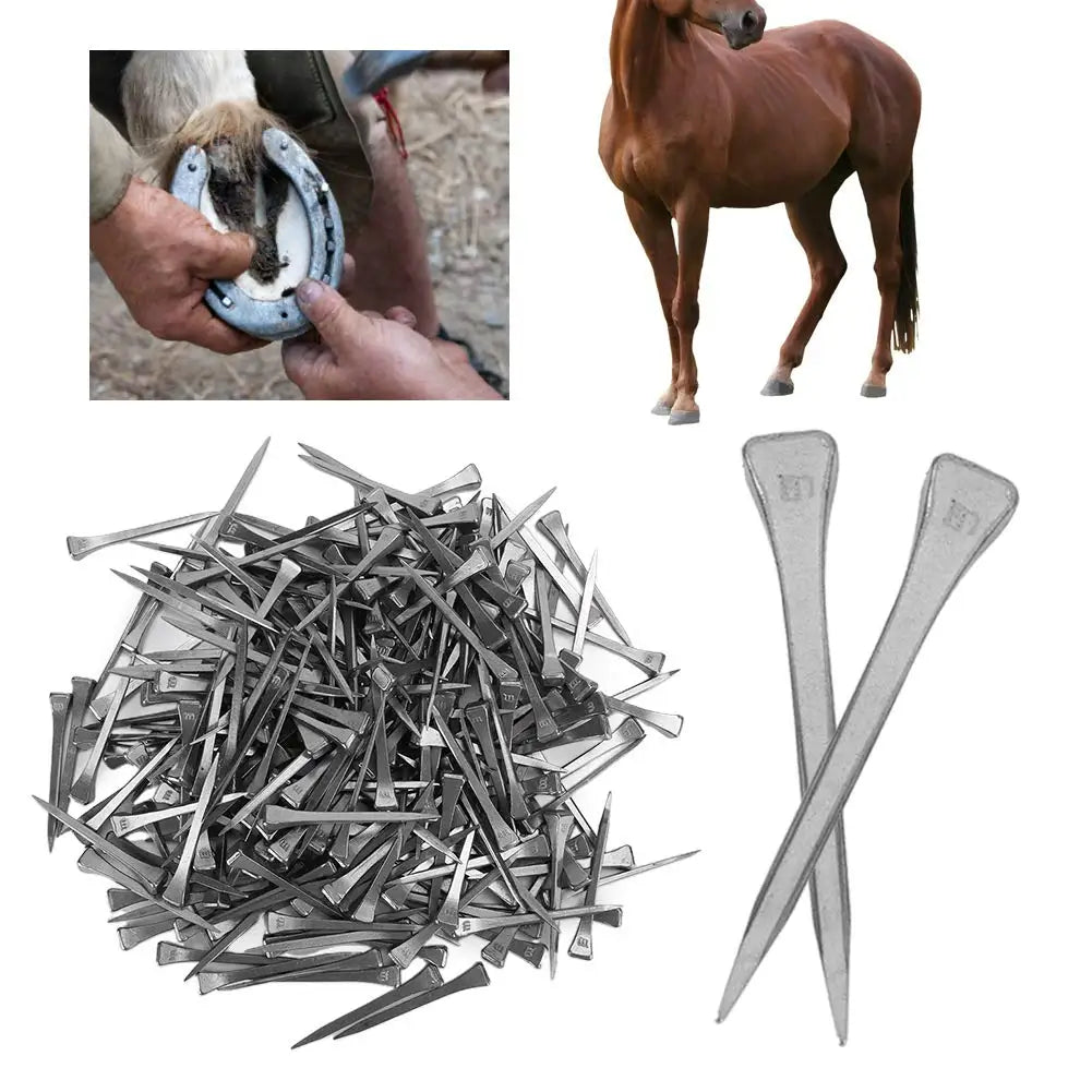 E2-E6 Horse Shoe Nails Horse Training Equestrian Harness Repair Hoof Nails Palm Horse Riding Supplies Equestrian Equipments