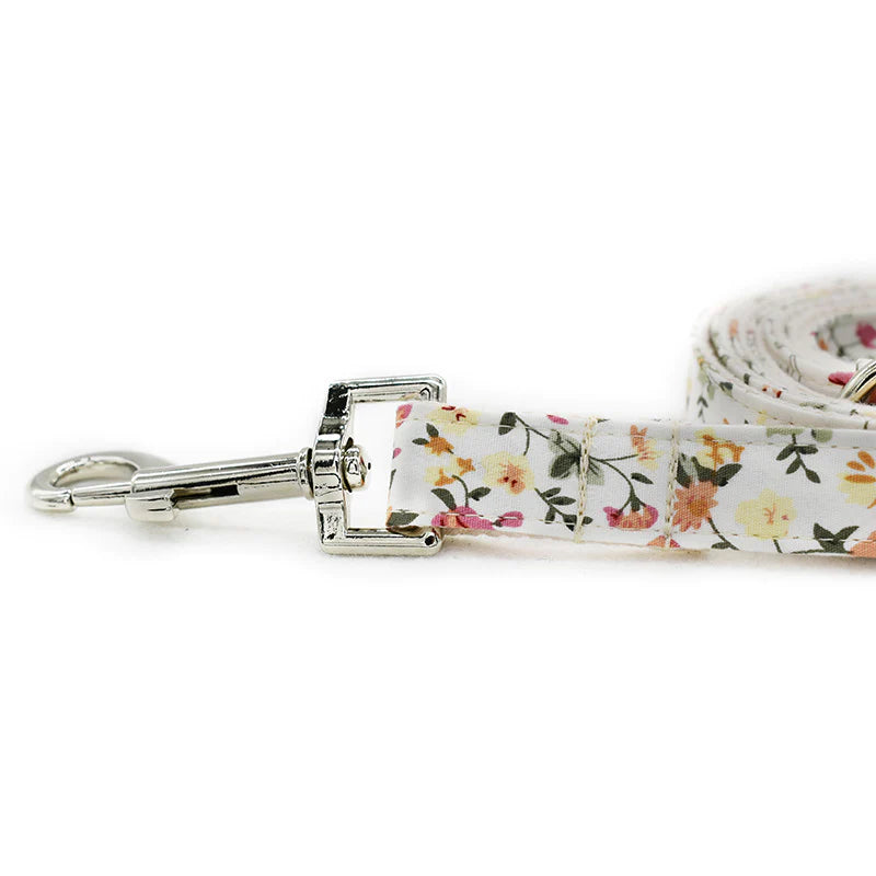 Lulu Dog Collar, Dog Collar & Dog Bowtie (Set) – by The Paw Co.