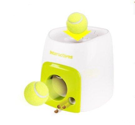 Automatic Pet Training And Feeding System