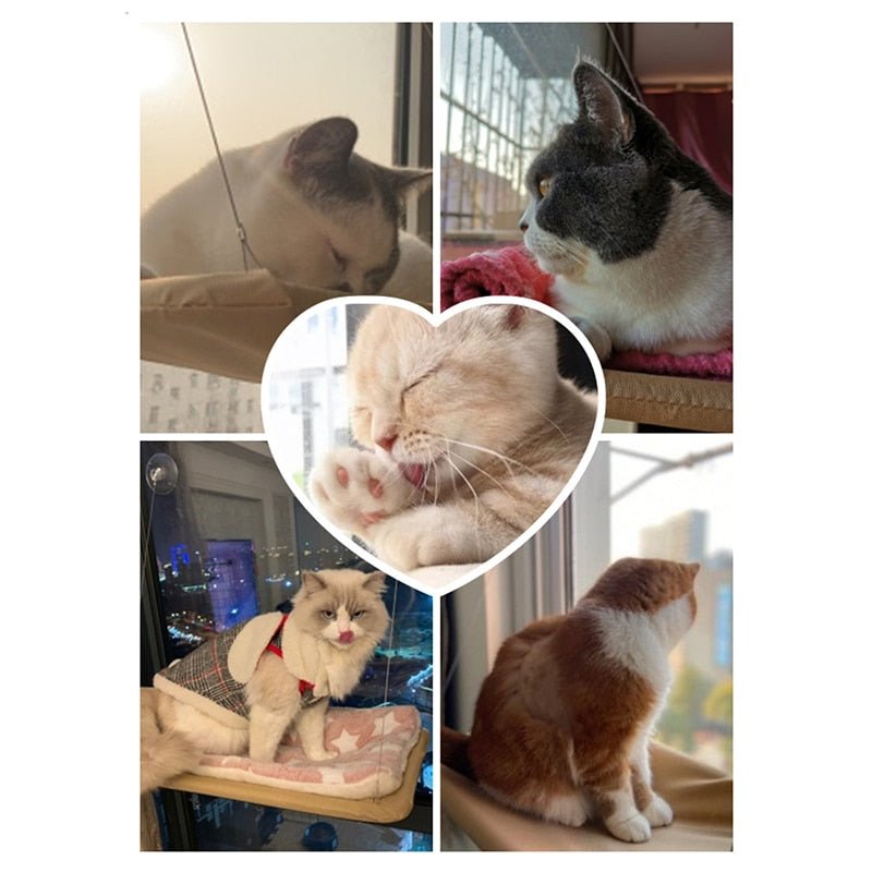 Cat Sunny Seat Window Mount Pet Cat Hammock Comfortable Cat Pet Bed Cute Pet Hanging Beds Bearing 20kg