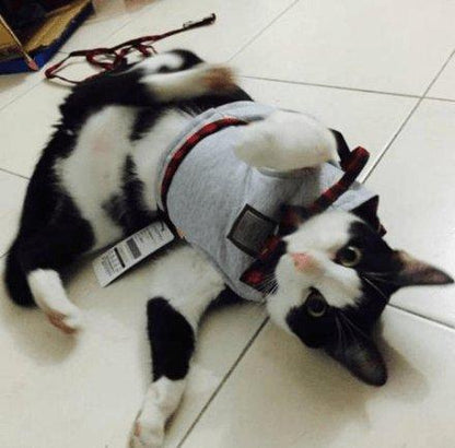 Cozycat Knitted Fabric Cat Harness Set