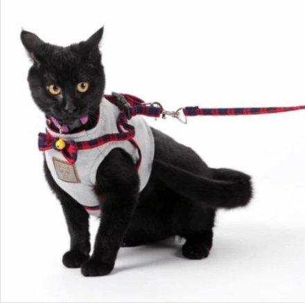 Cozycat Knitted Fabric Cat Harness Set