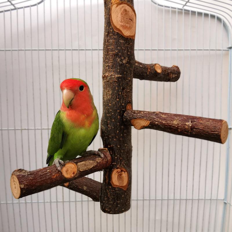 Simple And Stylish Apple Wood Parrot Bird Stand