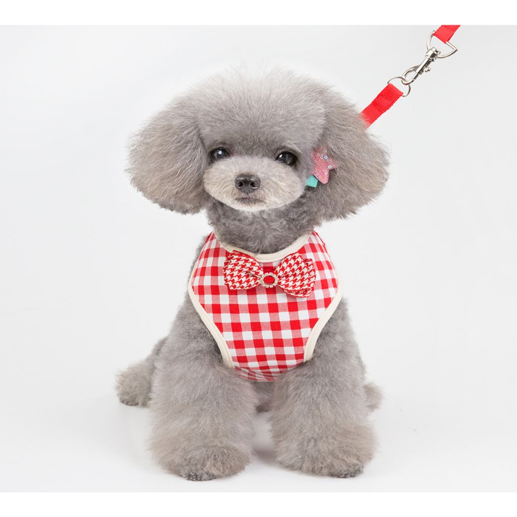 Red Bow Dog Harness (With Leash)