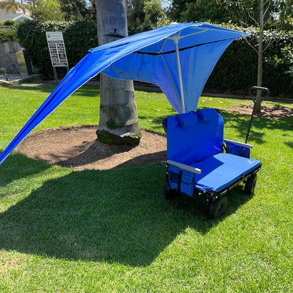 Canopy Umbrella