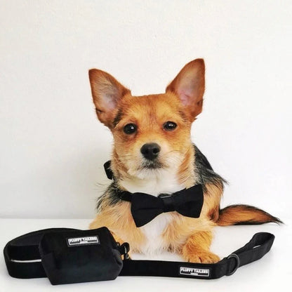 Classic Black Velvet Full Collection - Dog Collar, Bow Tie, Leash and Poop Bag Holder by Fluffy Tailers